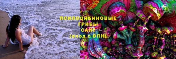 шишки Россошь