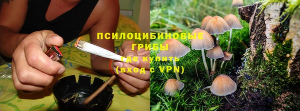 стаф Арсеньев