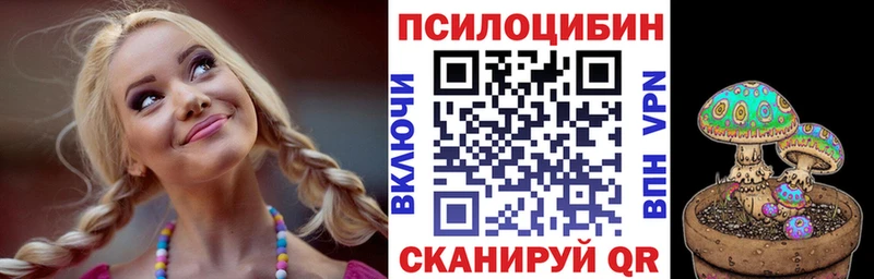 Псилоцибиновые грибы Cubensis  хочу   мориарти состав  Облучье 